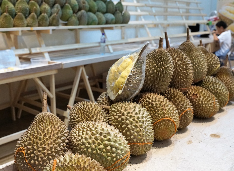 Khasiat Durian  Belanda Bagi Kesehatan Tubuh KIT 
